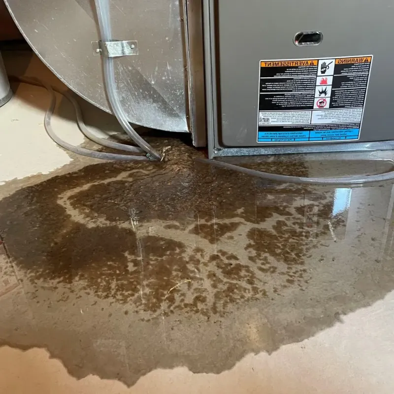 Pipe Burst and Leak Restoration in Ludlow, MA