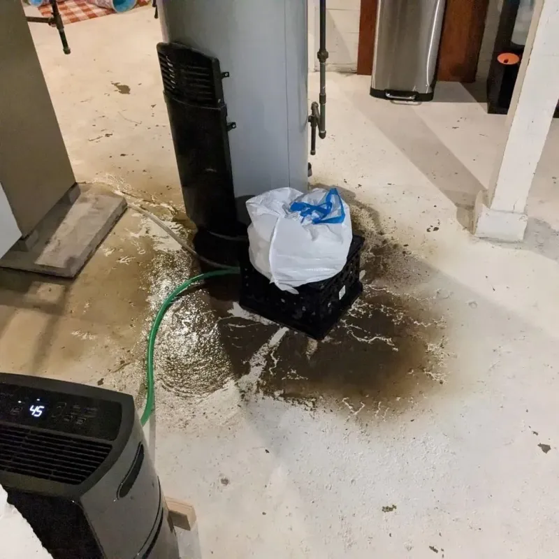 Sewage Backup Cleanup Service in Ludlow, MA